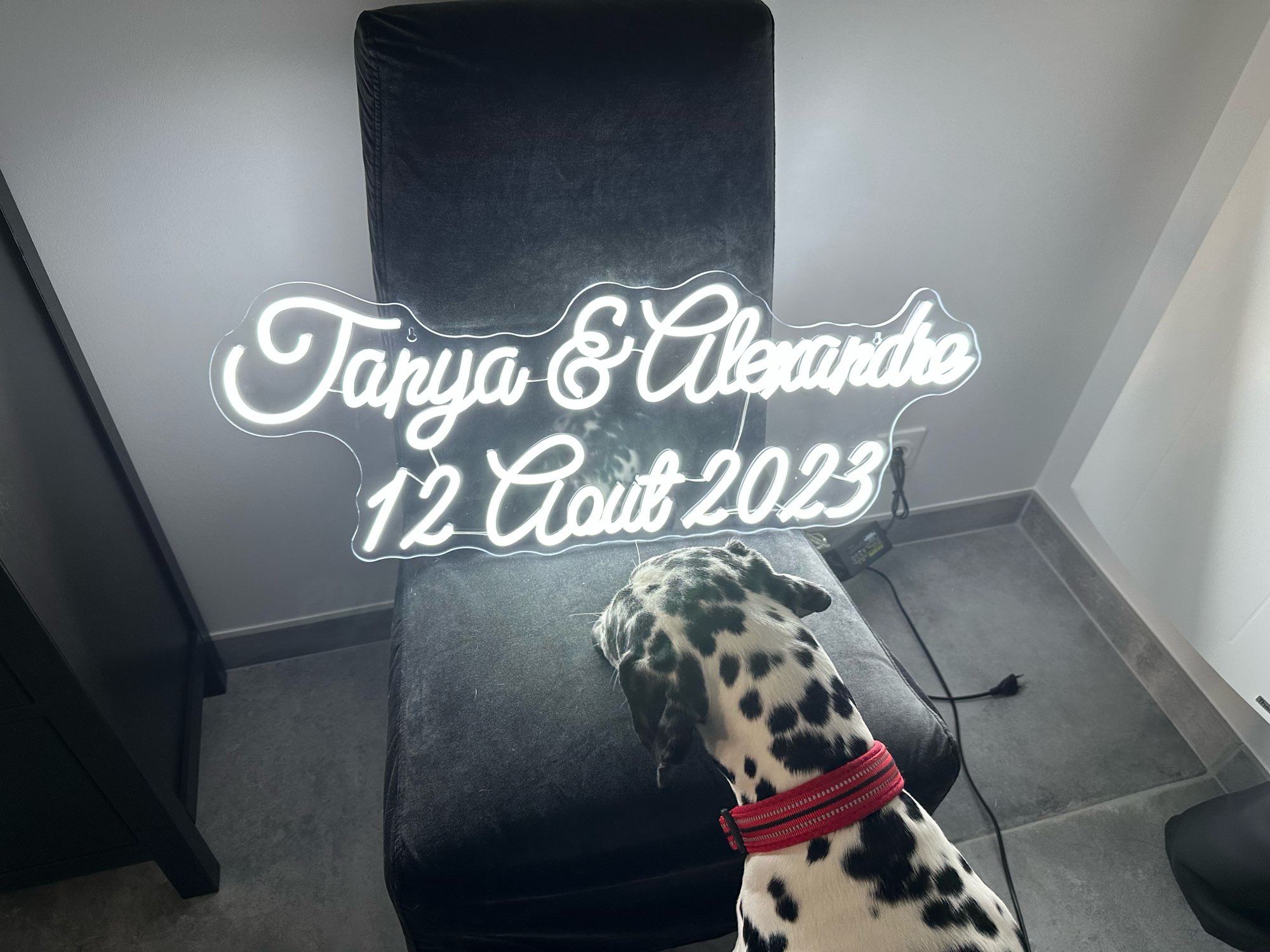 Insegna al Neon personalizzata - Home Office Logo recensione e prezzo